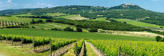 Tourist activities in the Champagne Ardennes region